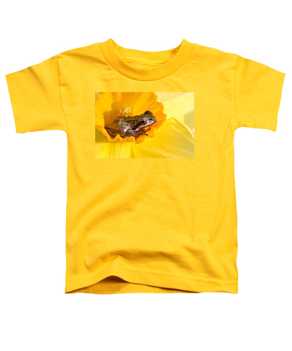 Frog In Daffodil Toddler T-Shirt featuring the photograph Frog and daffodil by Jean Noren