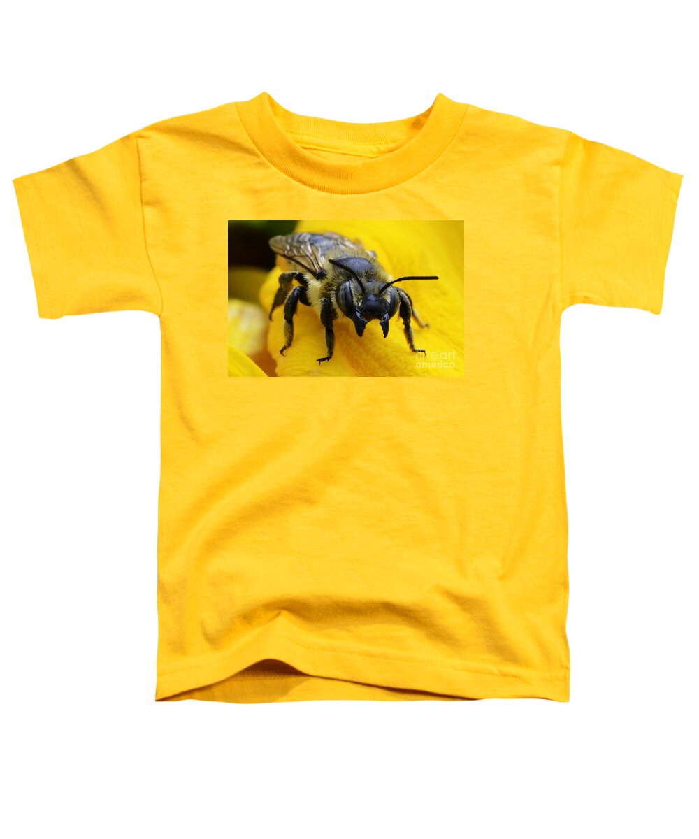 Bee Toddler T-Shirt featuring the photograph Go Ahead Make My Day by Bob Christopher