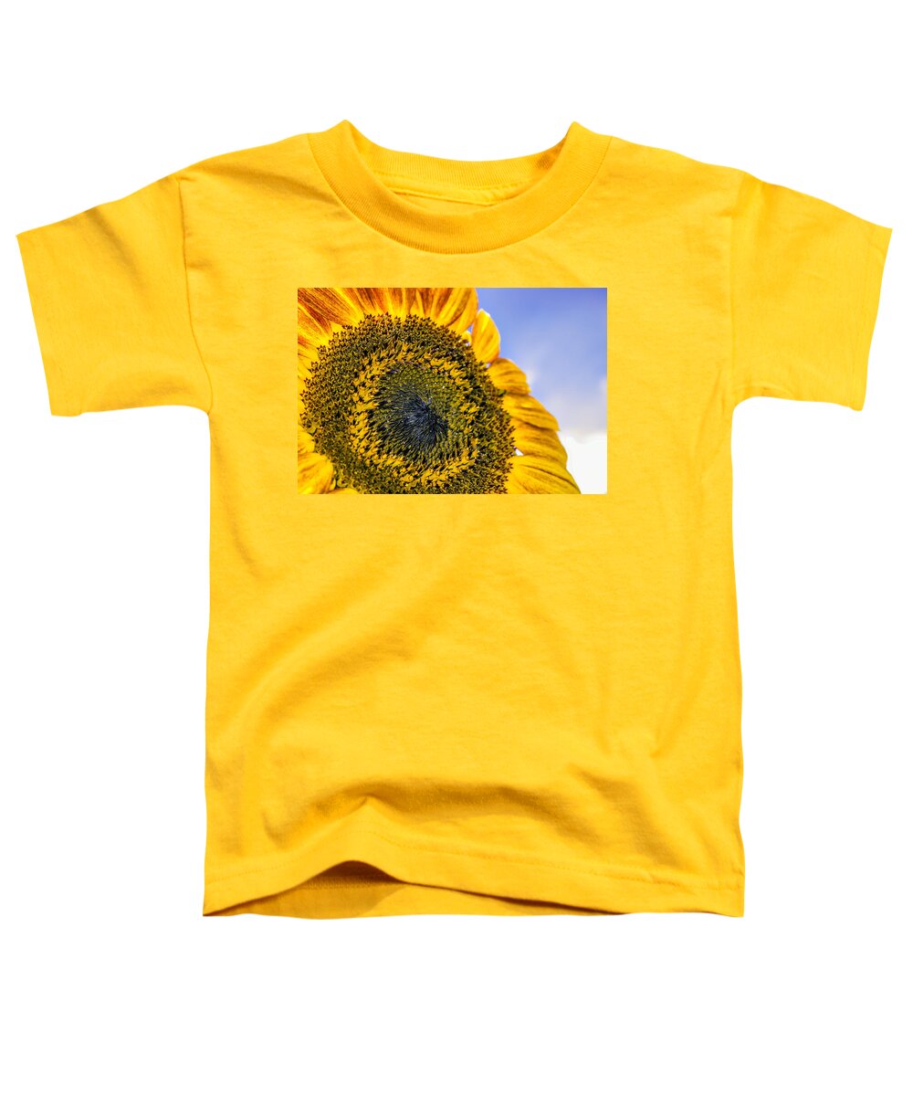 Agriculture Toddler T-Shirt featuring the photograph Helianthus by Traveler's Pics