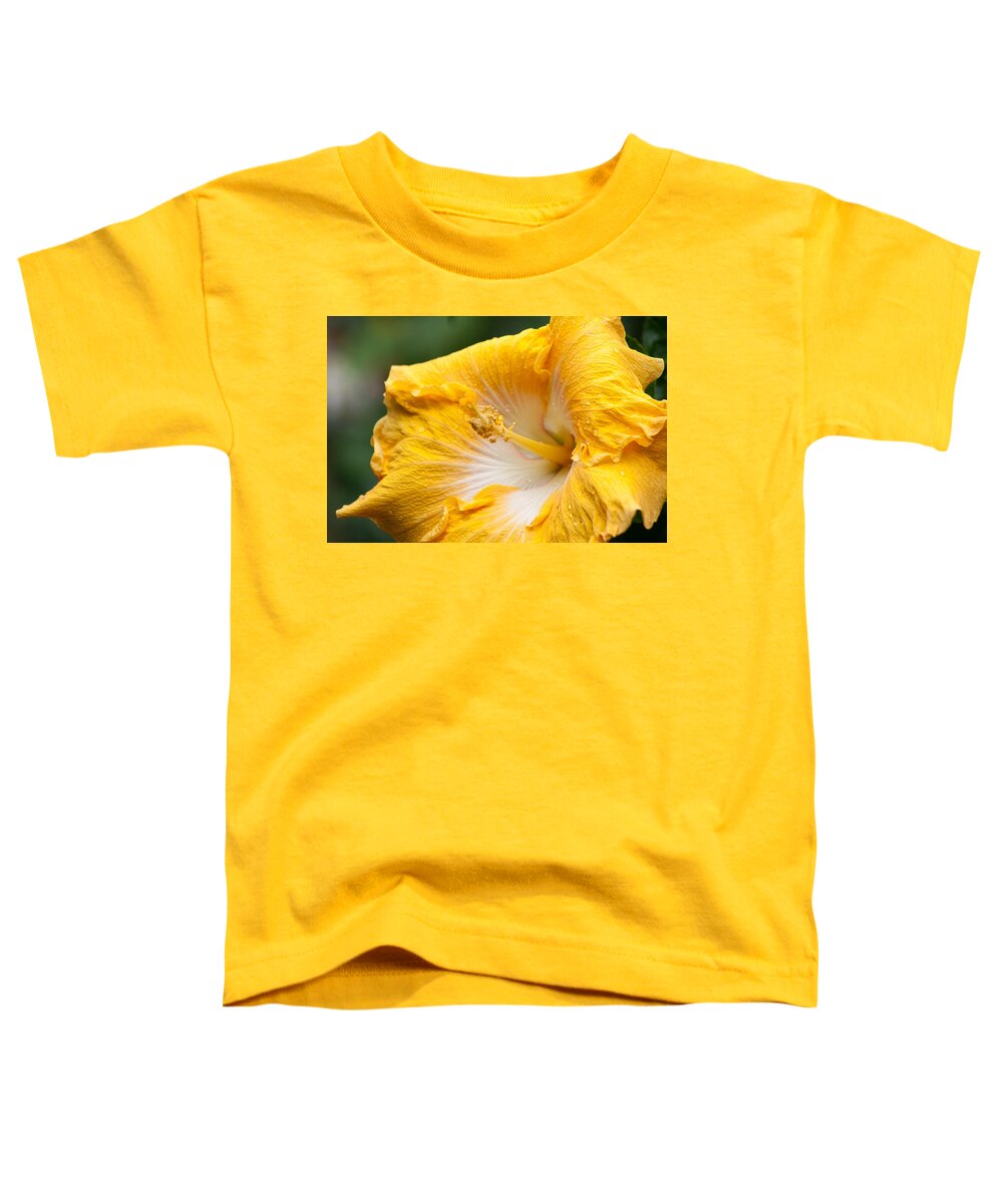Nature Toddler T-Shirt featuring the photograph Yellow Hibiscus by Michael Porchik