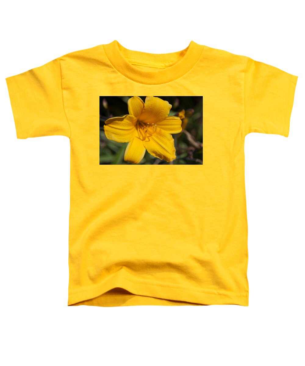 Plant Toddler T-Shirt featuring the photograph Yellow Lily by Tikvah's Hope