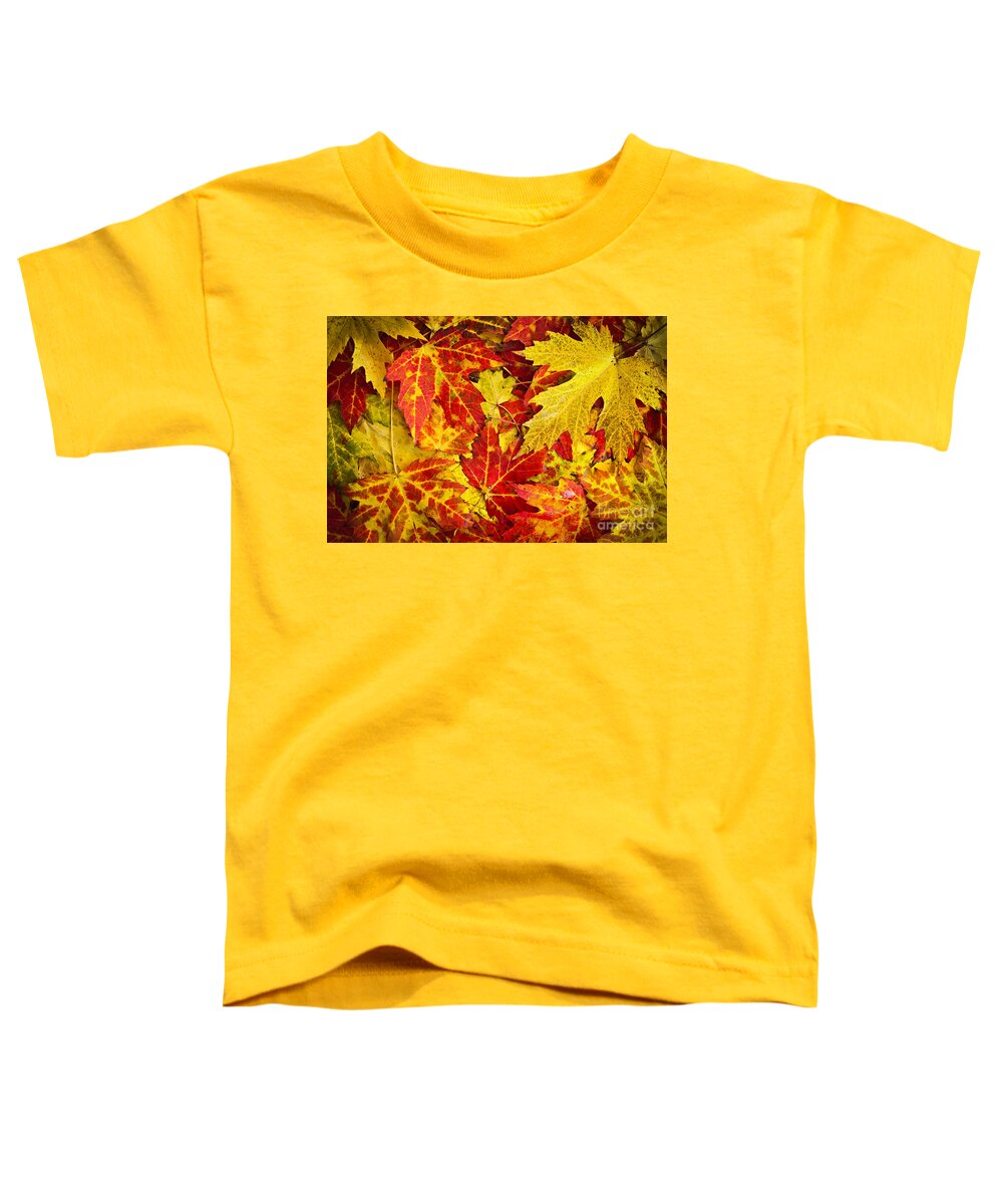 Leaves Toddler T-Shirt featuring the photograph Fallen autumn maple leaves by Elena Elisseeva