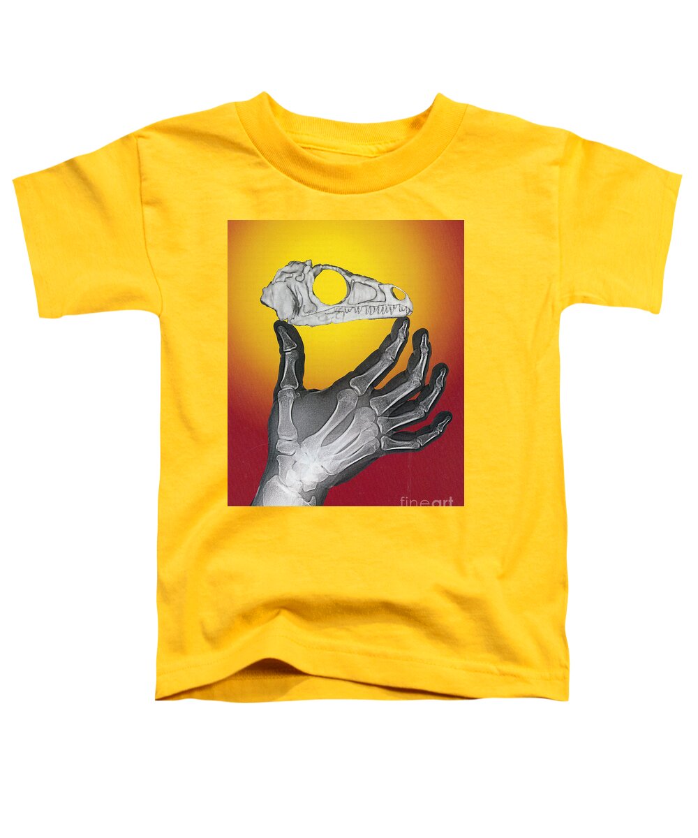 Eoraptor Toddler T-Shirt featuring the photograph Hand And Eoraptor by Science Source