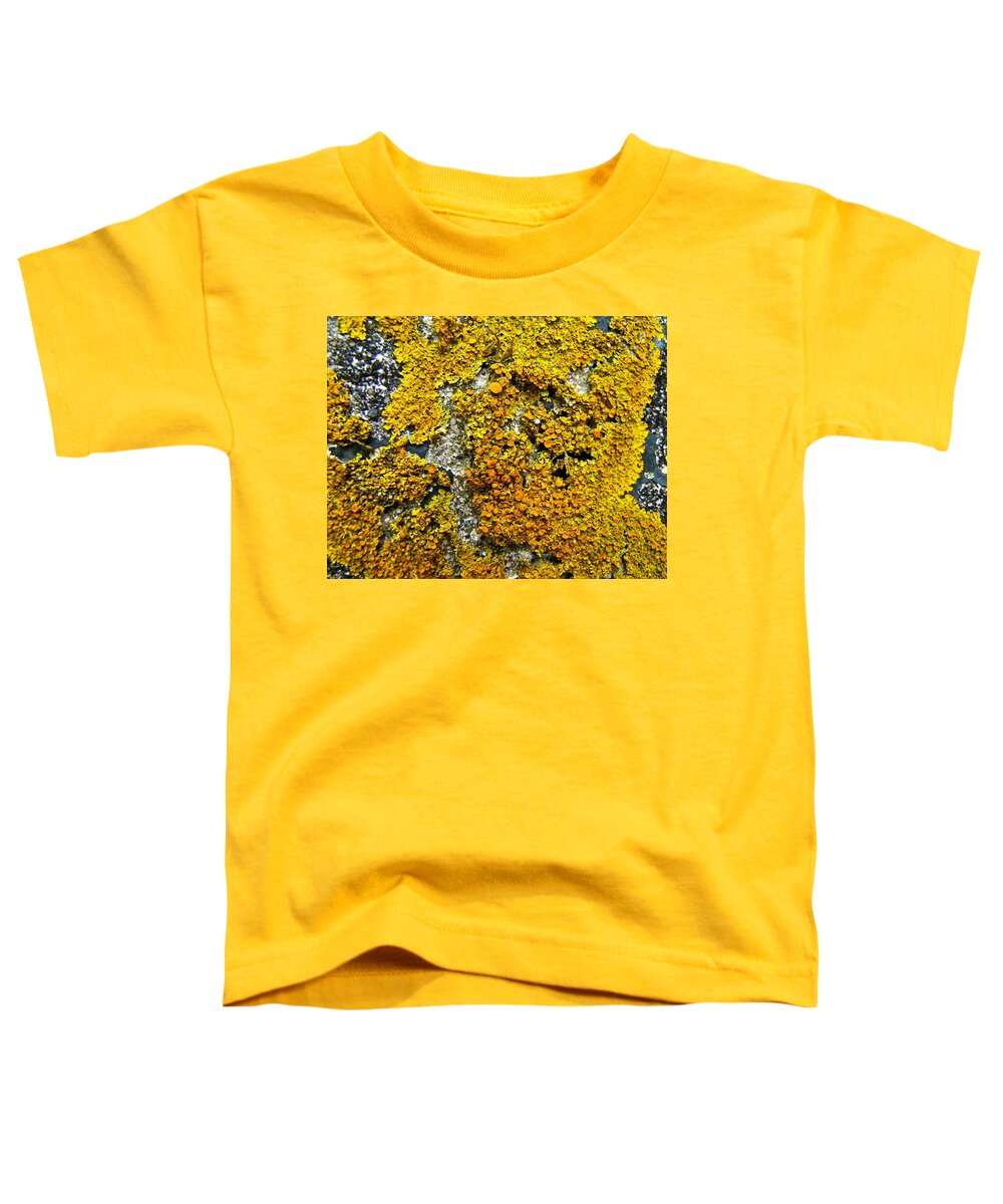 Lichen Toddler T-Shirt featuring the photograph Orange Lichen - Xanthoria parietina by Carol Senske