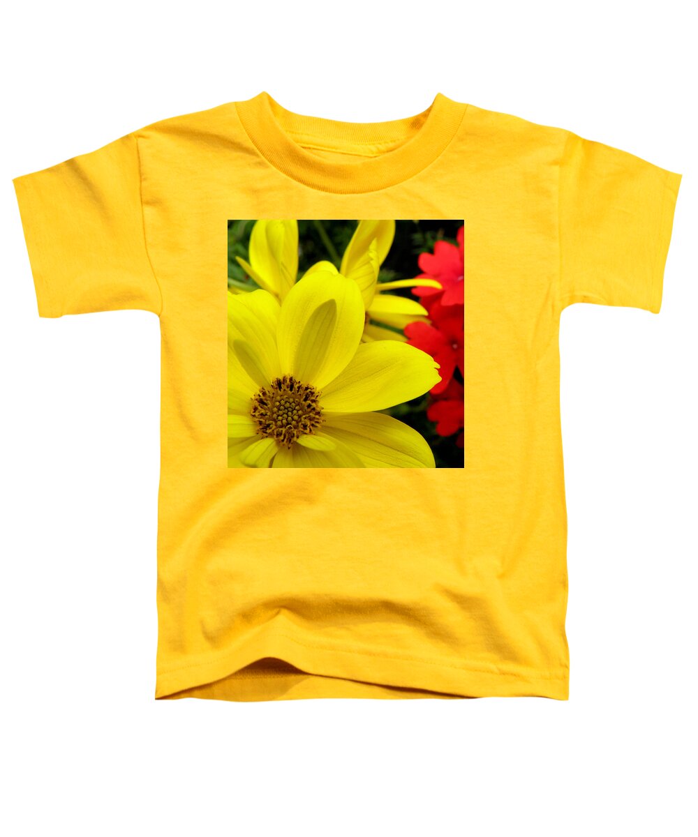 Yellow Flower Toddler T-Shirt featuring the photograph Spring Has Sprung by Kim Galluzzo