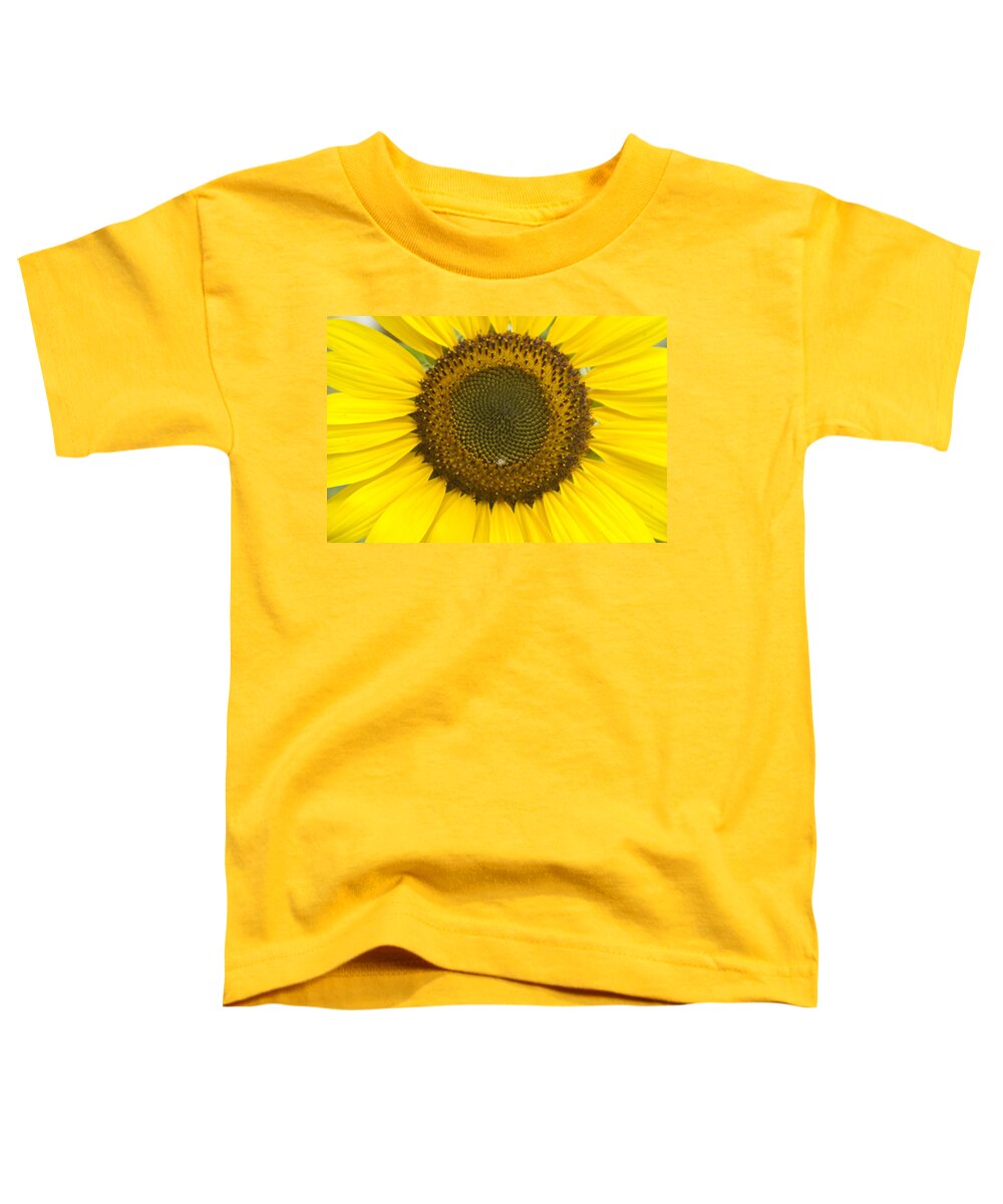 Colorful Toddler T-Shirt featuring the photograph Sunflower Center by James BO Insogna