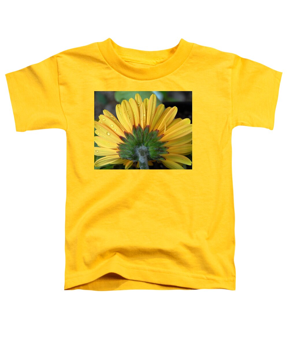 Flowers Toddler T-Shirt featuring the photograph Water drops on Gerbera Daisy by Amy Fose