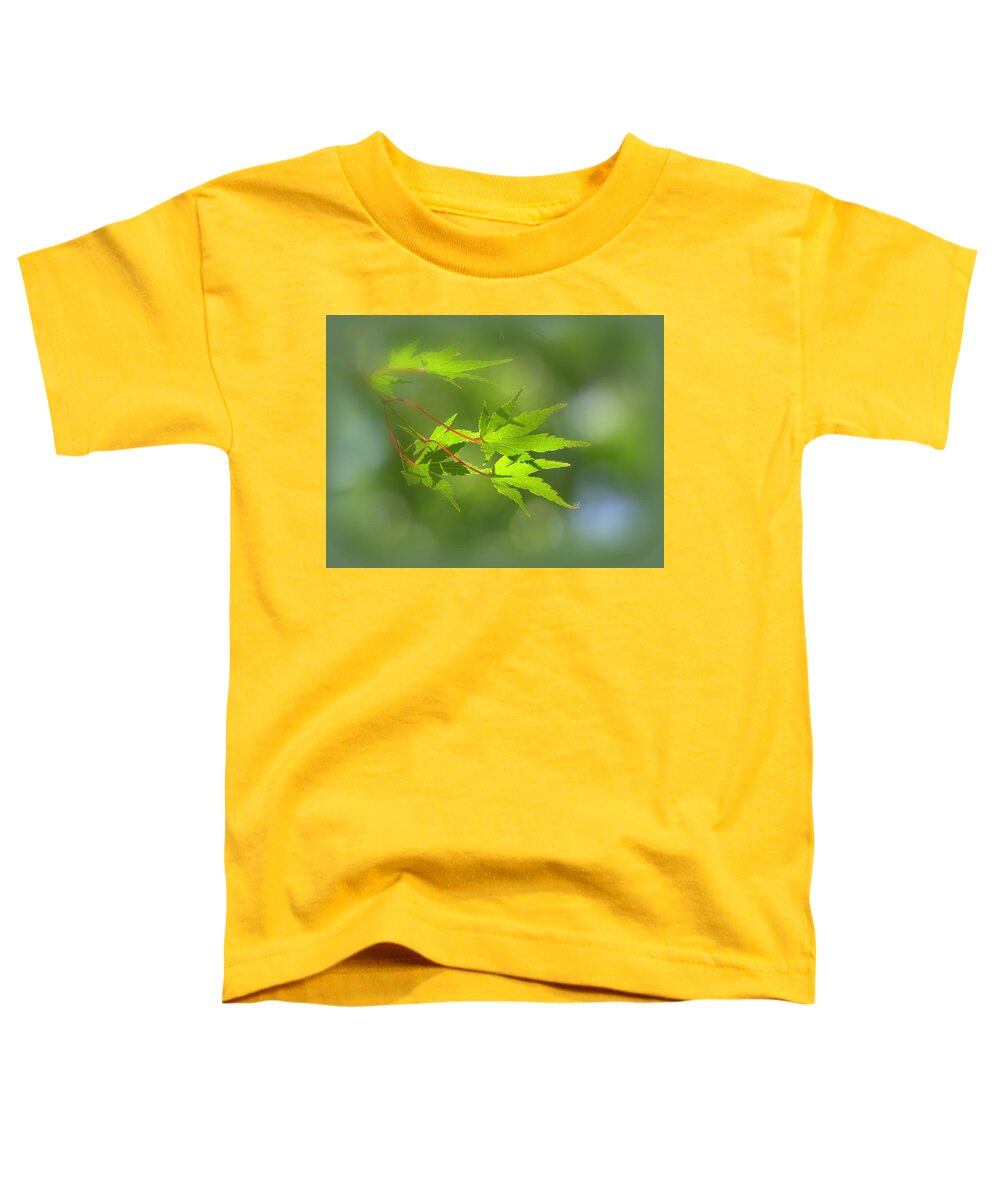 Acer Toddler T-Shirt featuring the photograph Japanese Maple Foliage #1 by Nathan Abbott