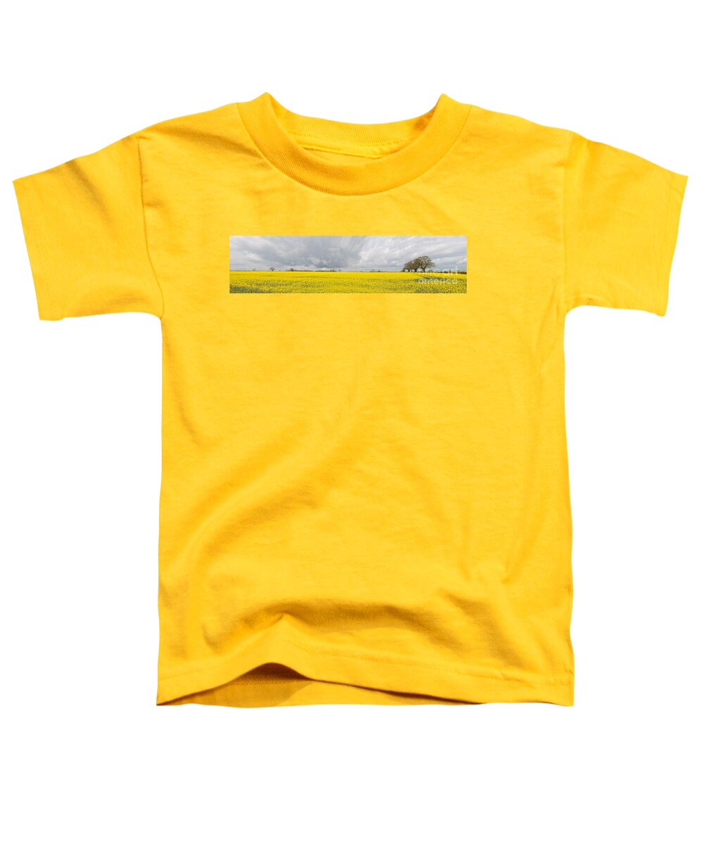Rape Seed Toddler T-Shirt featuring the photograph Rapeseed field #1 by Colin Rayner