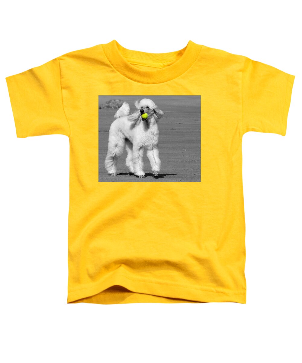 Dogs Toddler T-Shirt featuring the photograph What's a Tennis Racquet? by Lori Lafargue