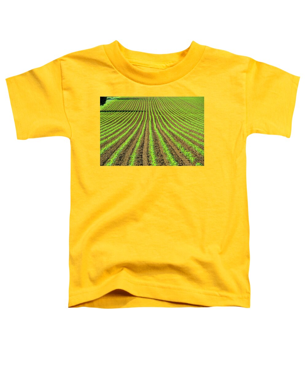 Farm Toddler T-Shirt featuring the photograph Abstract Cornfield in Spring by Tana Reiff