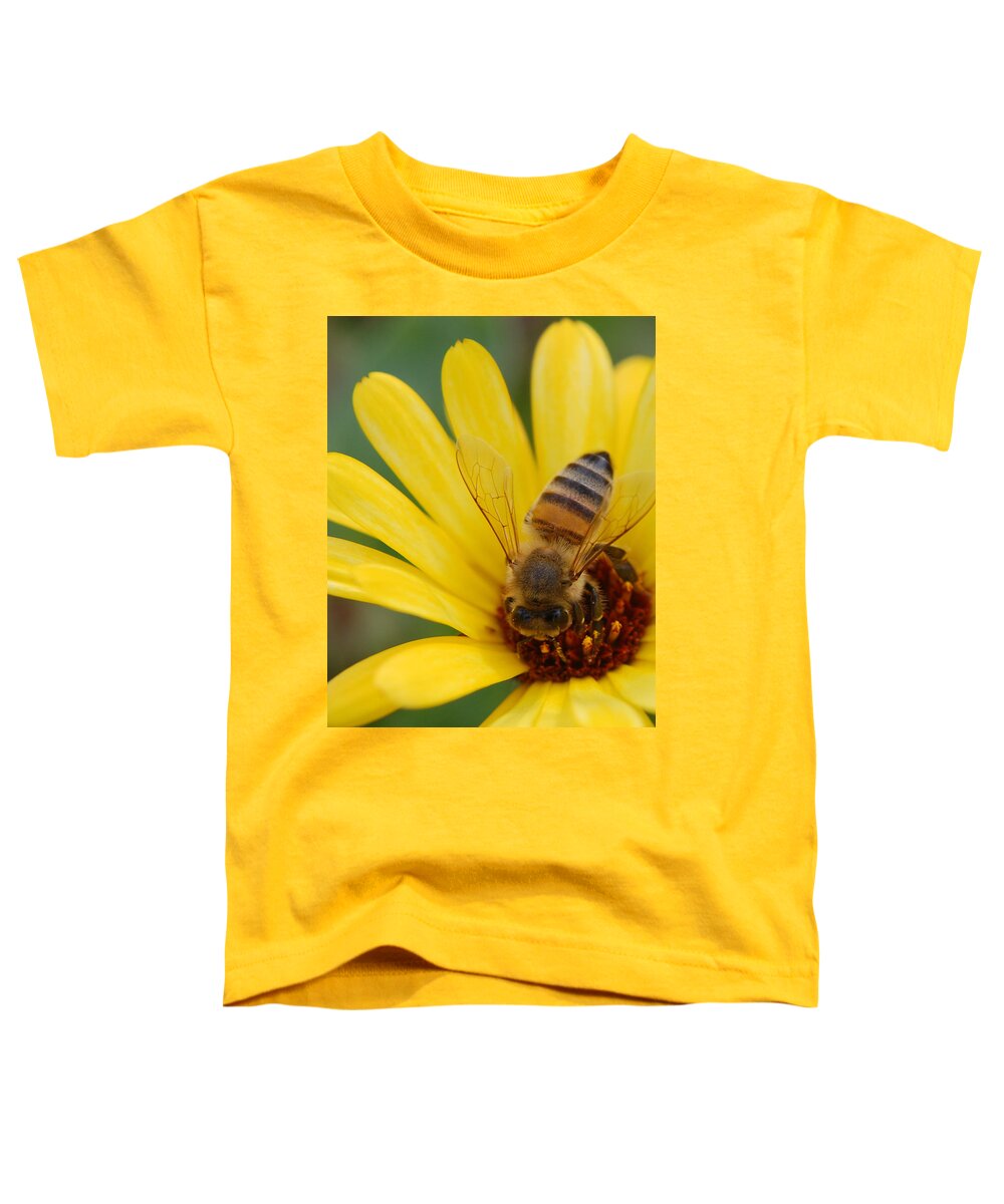 Bee Toddler T-Shirt featuring the photograph Bee on flower by Amy Fose