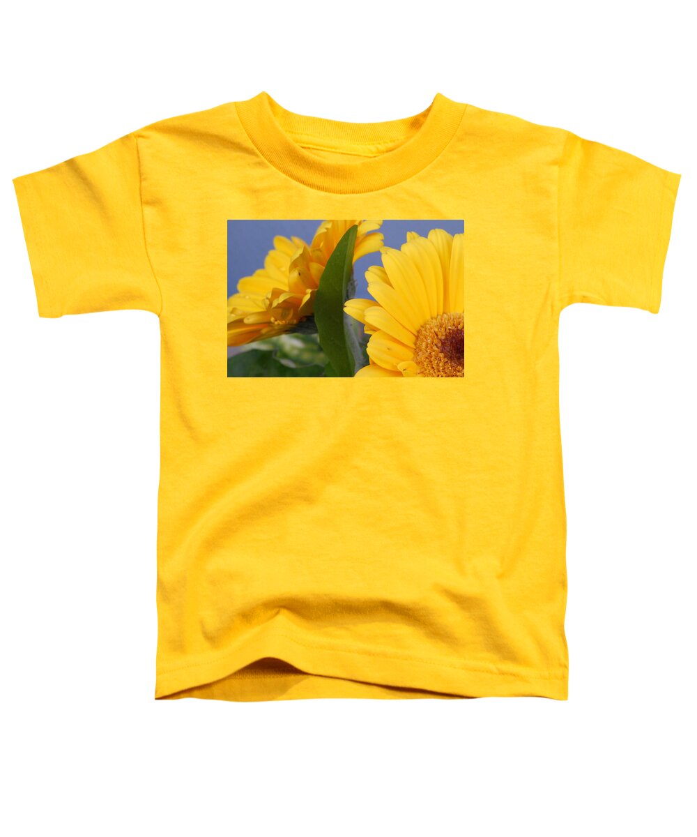 Gerbera Daisy Toddler T-Shirt featuring the photograph Cheerful Gerbera Daisies by Amy Fose