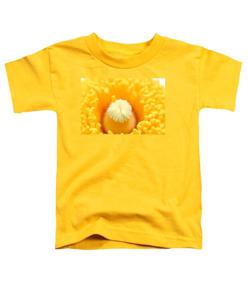Flower Toddler T-Shirt featuring the photograph Coulter's Poppy 5 by Amy Fose