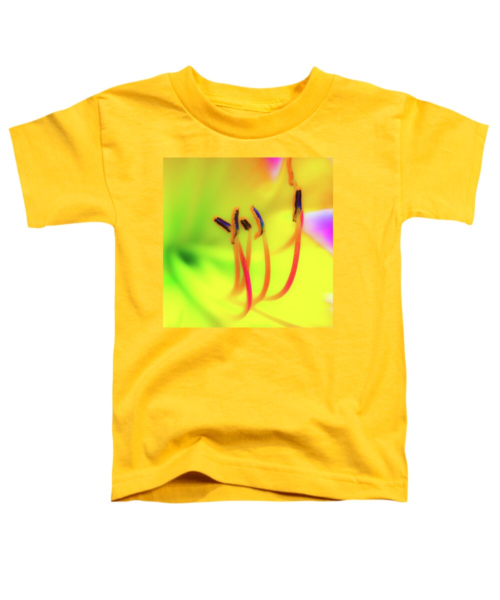 Cleveland Botanical Gardens Toddler T-Shirt featuring the photograph Dreamy Daylily by Stewart Helberg