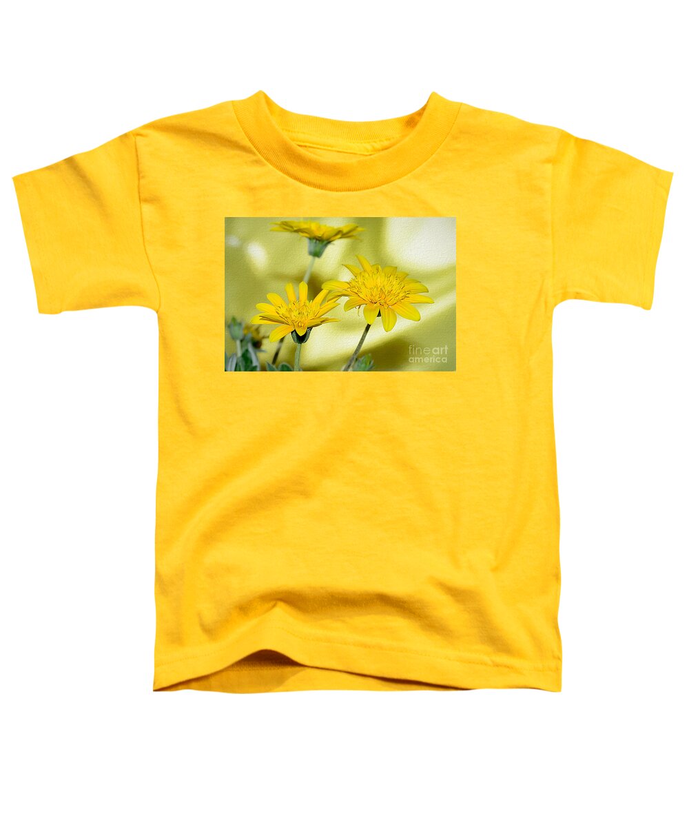 Photography Toddler T-Shirt featuring the photograph Gazania Sahara Daisies by Kaye Menner by Kaye Menner