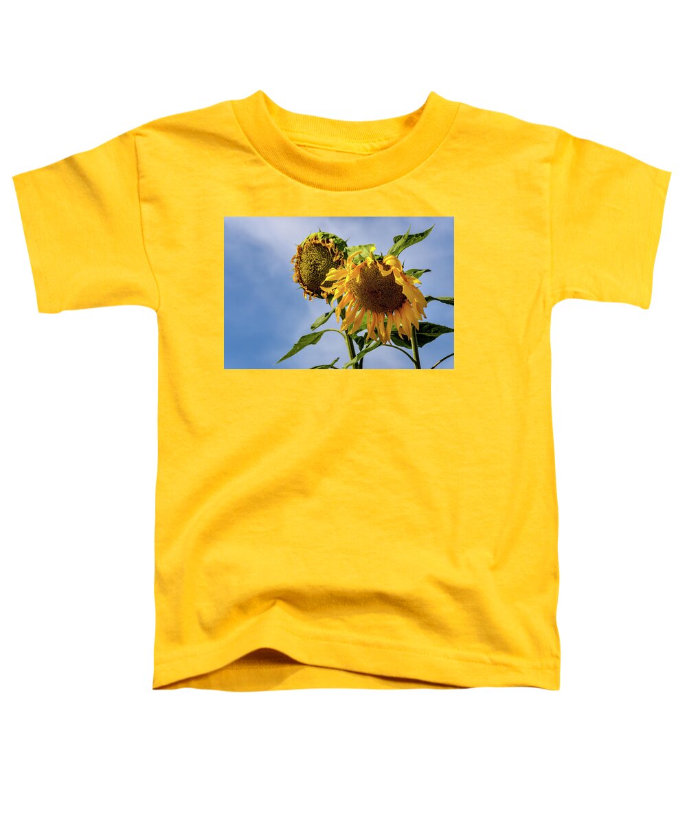 Giant Sunflower Toddler T-Shirt featuring the photograph Giant Sunflower by Debra Martz