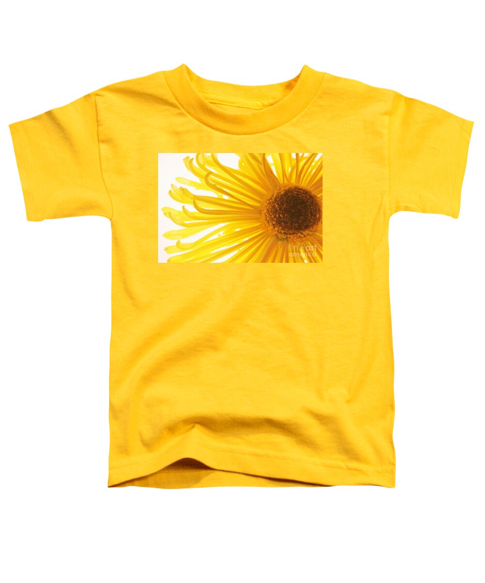 Daisy Toddler T-Shirt featuring the photograph Hello Sunshine by Julie Lueders 