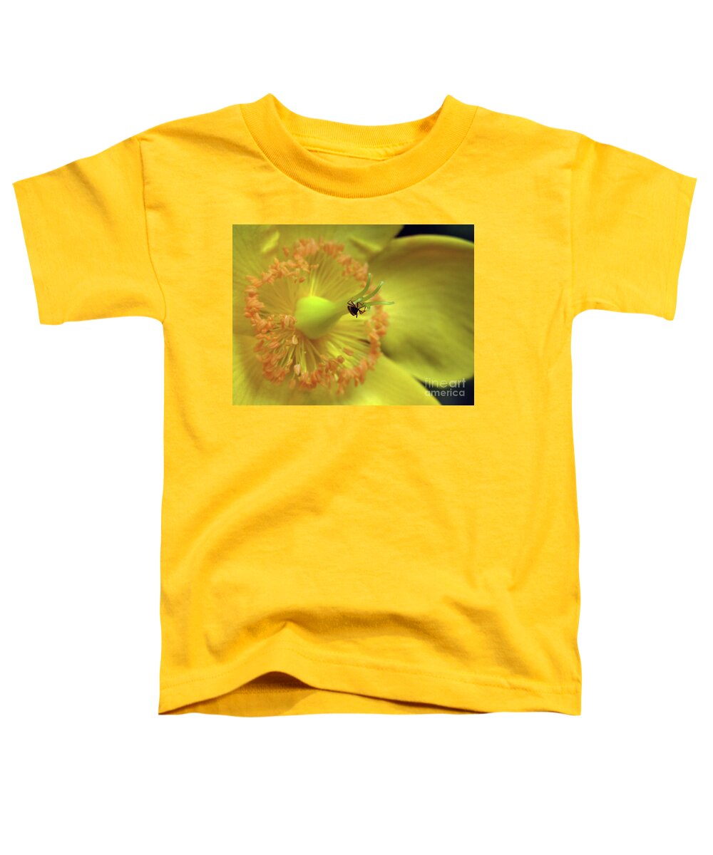 Hypericum Toddler T-Shirt featuring the photograph Hypericum Macro 2 by Kim Tran