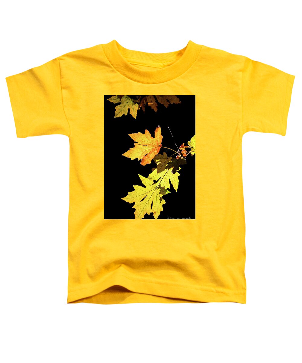 Leaves Toddler T-Shirt featuring the photograph Leaves On Black by Mimi Ditchie
