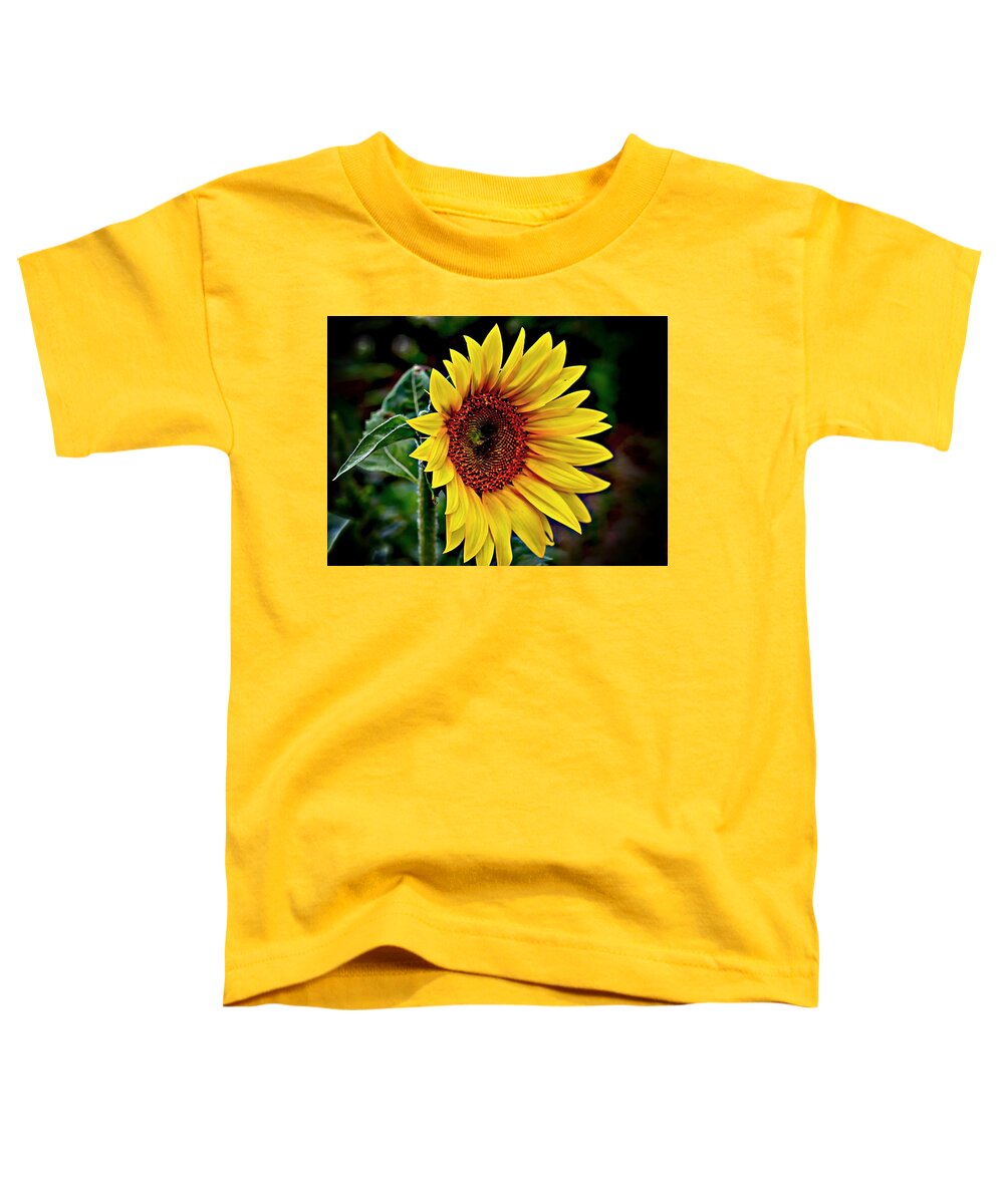 Yellow Sunflower Toddler T-Shirt featuring the photograph One Big Sunflower by Karen McKenzie McAdoo