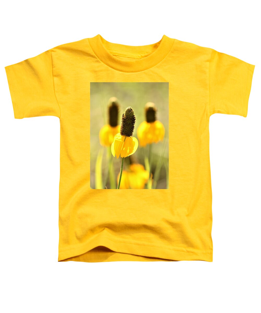 Nature Toddler T-Shirt featuring the photograph Prairie Coneflower in Morning Light by Sheila Brown