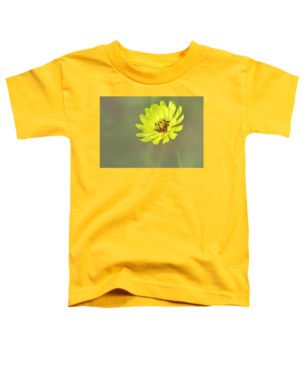 Asteraceae Toddler T-Shirt featuring the photograph Putting my best face forward. by Usha Peddamatham