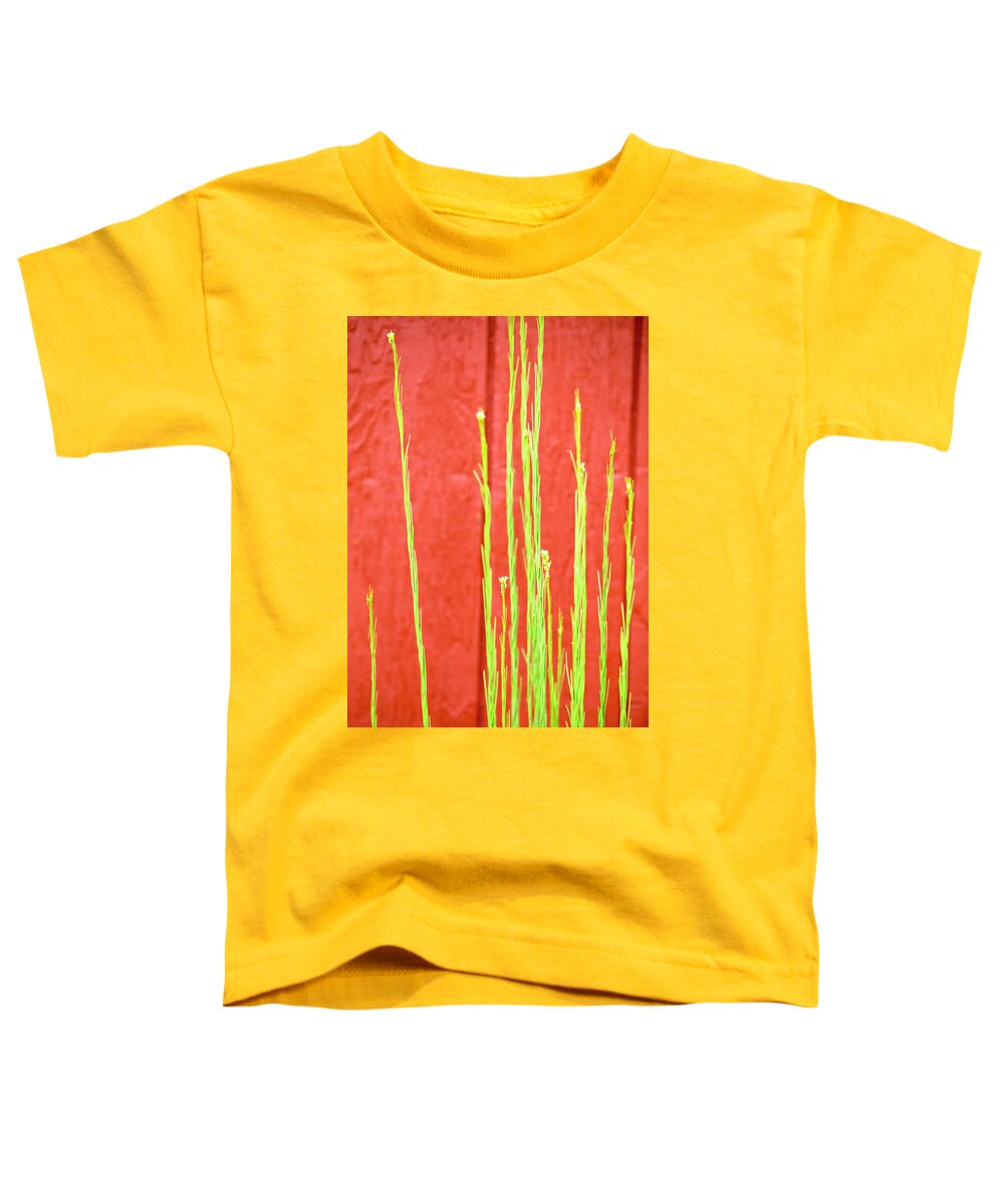 East Dover Vermont Toddler T-Shirt featuring the photograph Red Barn Green Flowers by Tom Singleton