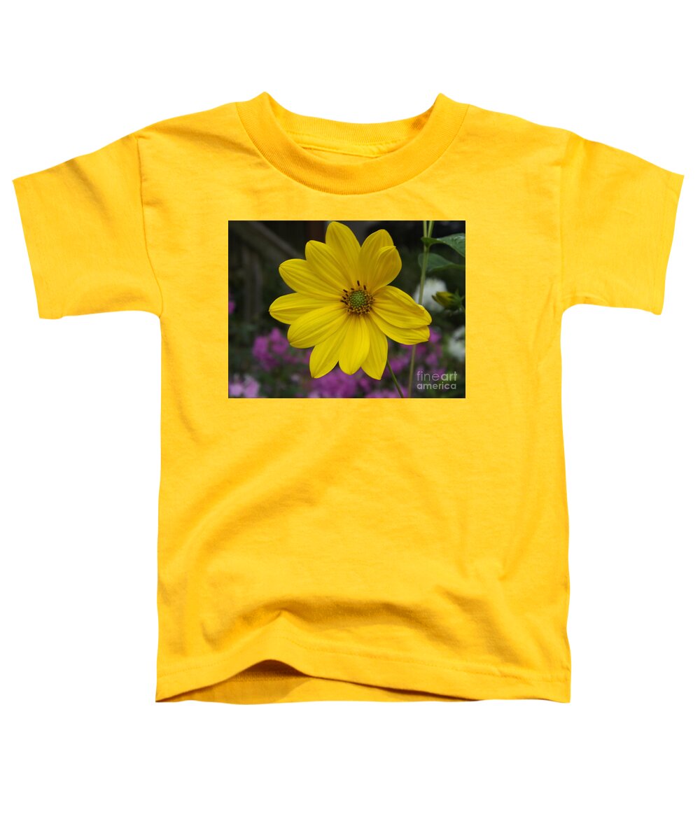 Flower Toddler T-Shirt featuring the photograph Standing In The Backdoor, Waiting For My Daisy by Lingfai Leung
