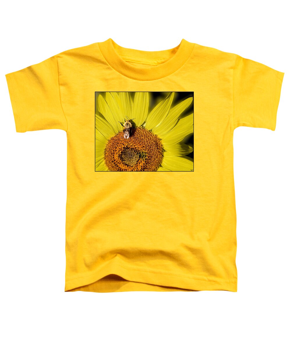 Sunflower Toddler T-Shirt featuring the photograph Sun Bee by Chris Lord