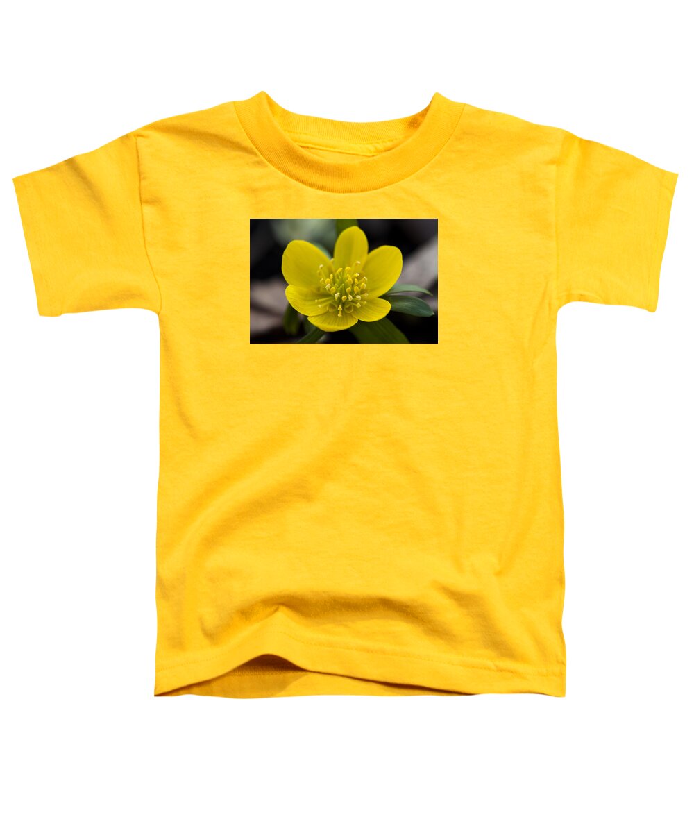  Toddler T-Shirt featuring the photograph Winter Aconite by Dan Hefle