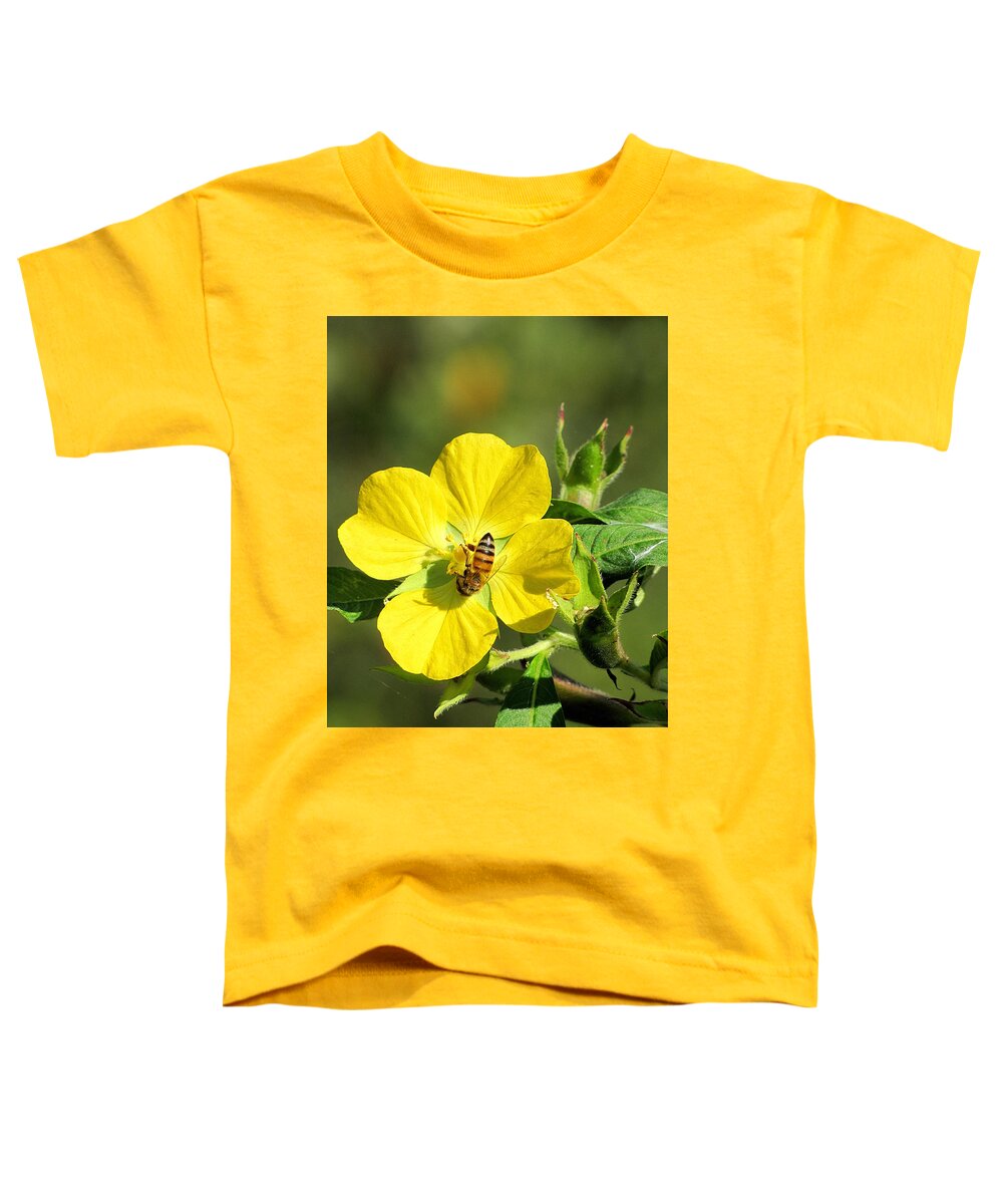 Yellow Evening-primrose Toddler T-Shirt featuring the photograph Yellow Primrose and Honey Bee 000 by Christopher Mercer