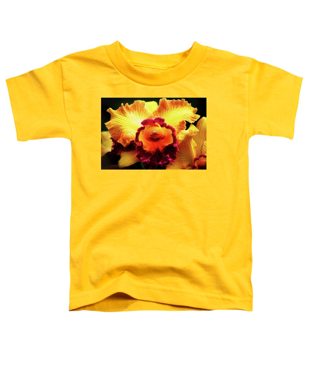 Hawaii Toddler T-Shirt featuring the photograph Yellow-Purple Orchid by Anthony Jones