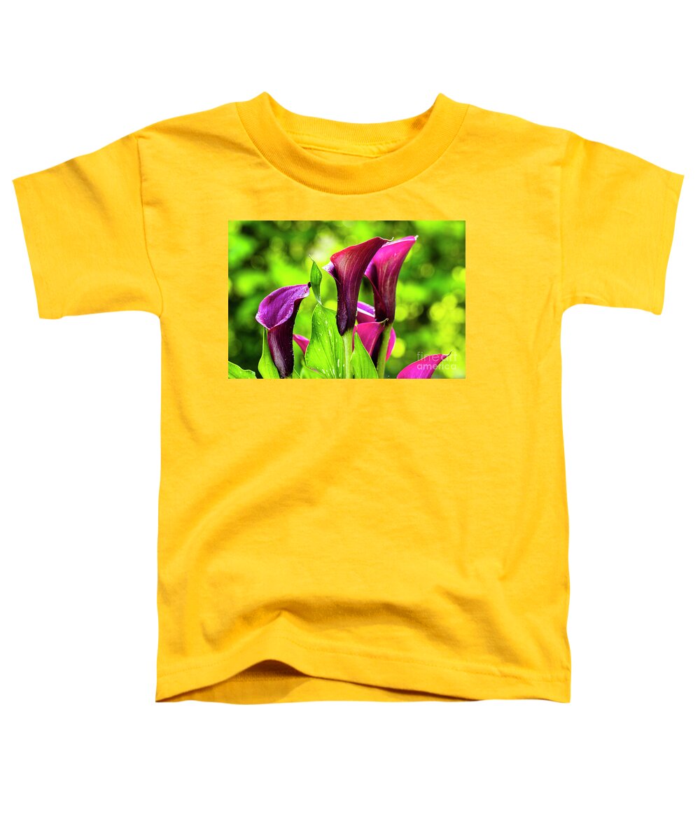 Araceae Toddler T-Shirt featuring the photograph Purple Calla Lily Flower by Raul Rodriguez