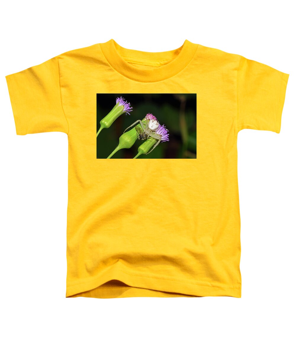 Photograph Toddler T-Shirt featuring the photograph Crab Spider with Bee by Larah McElroy