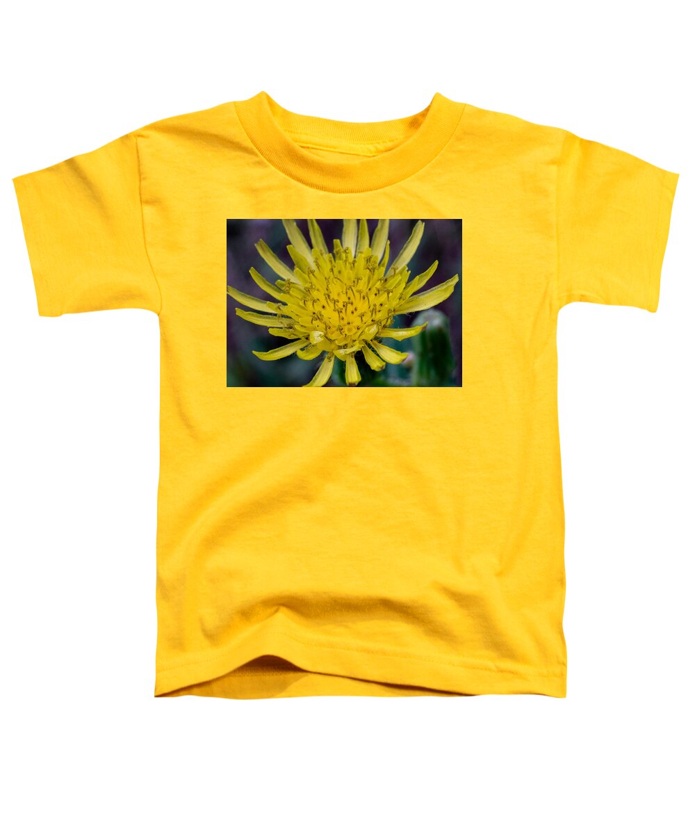 Flower Toddler T-Shirt featuring the photograph Dancing at the Floral Ball by Ivars Vilums
