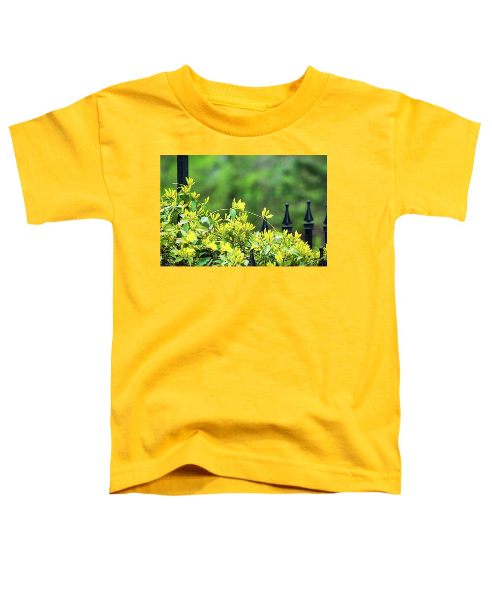 Yellow Toddler T-Shirt featuring the photograph Jasmine by Mary Ann Artz