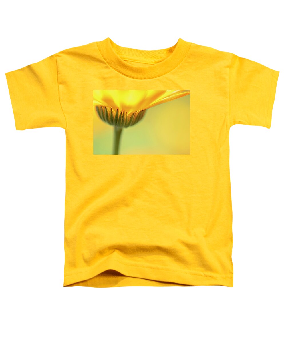 Macro Toddler T-Shirt featuring the photograph Macro Orange 5 by Kathy Paynter
