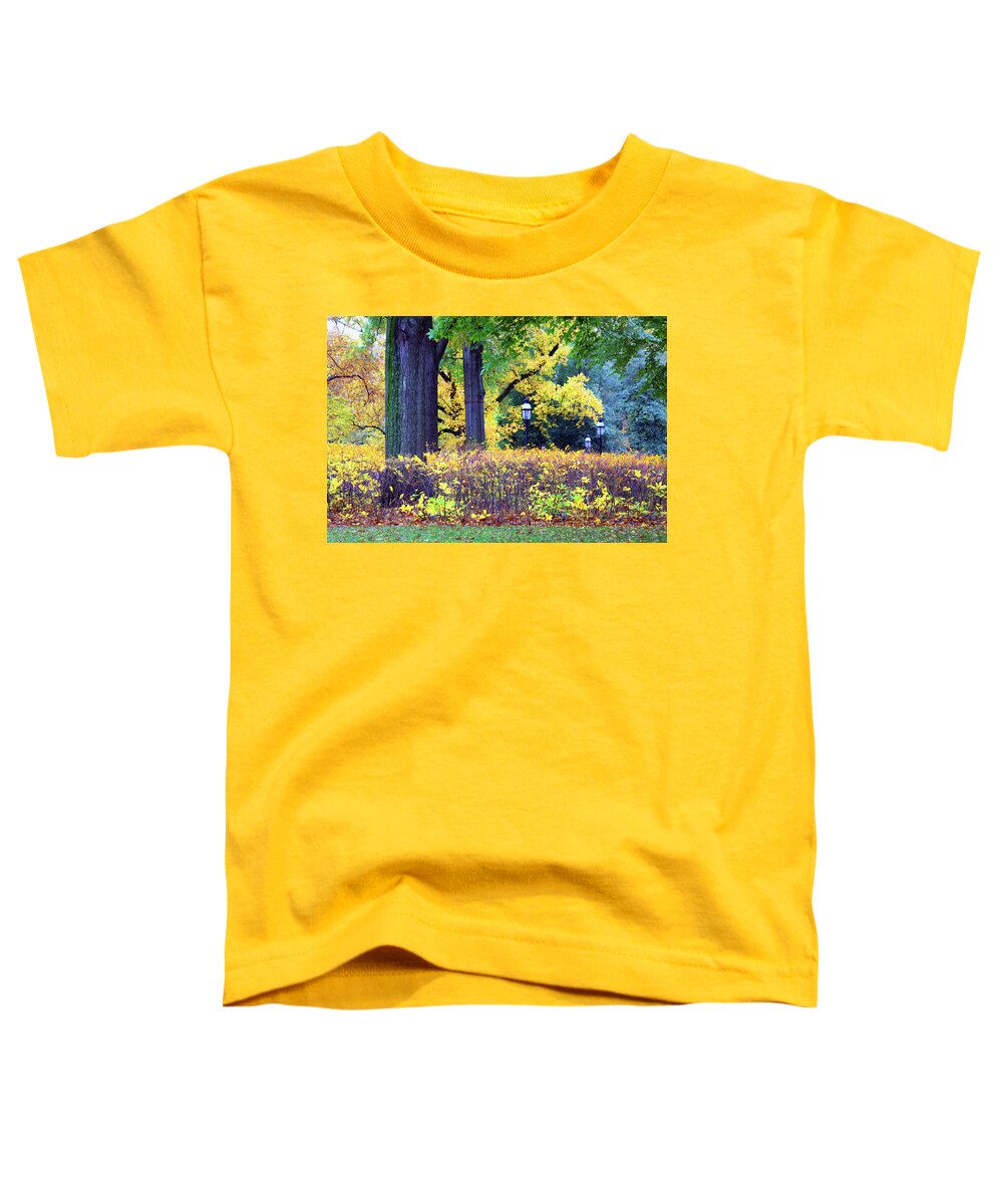 Autumn Toddler T-Shirt featuring the photograph Missouri Botanical Garden by John Lautermilch