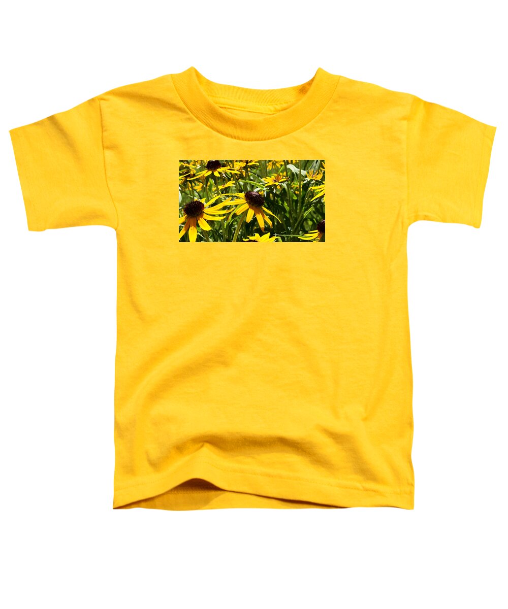 Daisies Toddler T-Shirt featuring the photograph Sue's Daisies by Tom Johnson