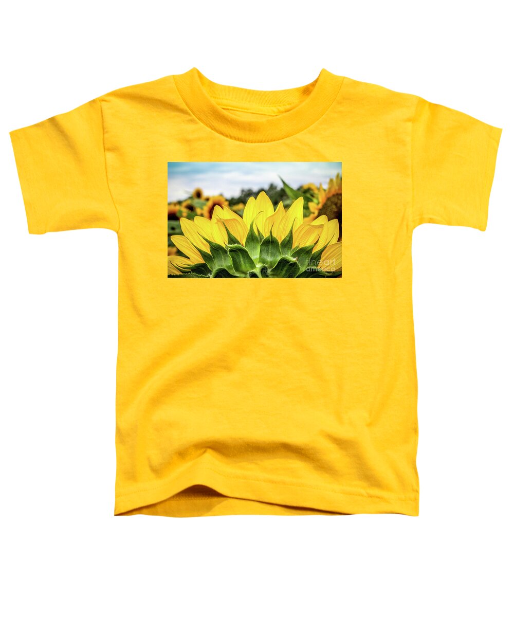 Sunflower Toddler T-Shirt featuring the photograph Sunflower Burst by Colleen Kammerer
