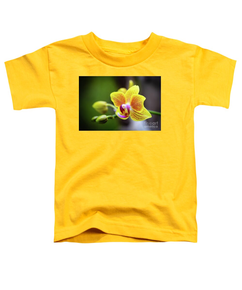 Background Toddler T-Shirt featuring the photograph Yellow Orchid Flowers #2 by Raul Rodriguez