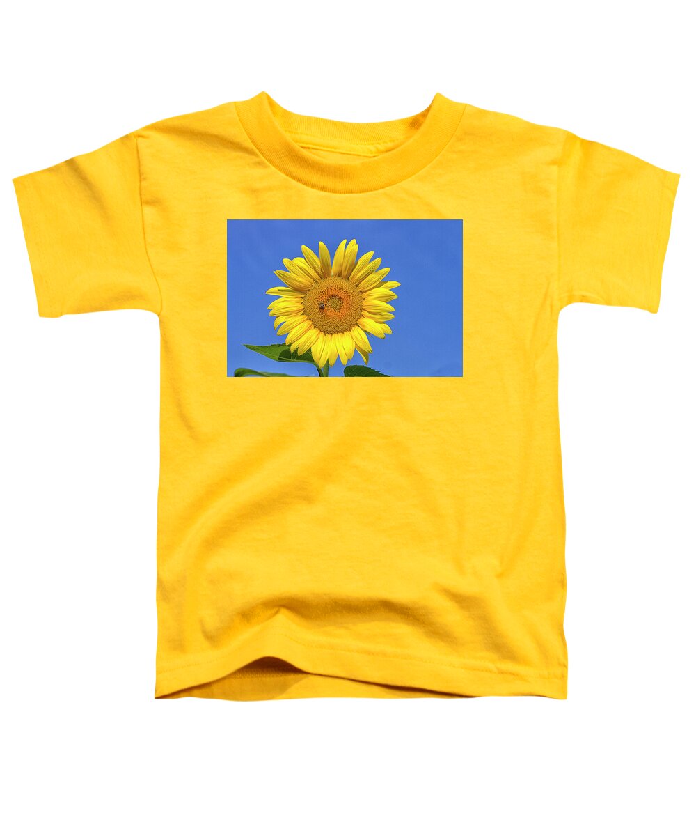 Sunflower Toddler T-Shirt featuring the photograph Big and Beautiful by Bill Barber