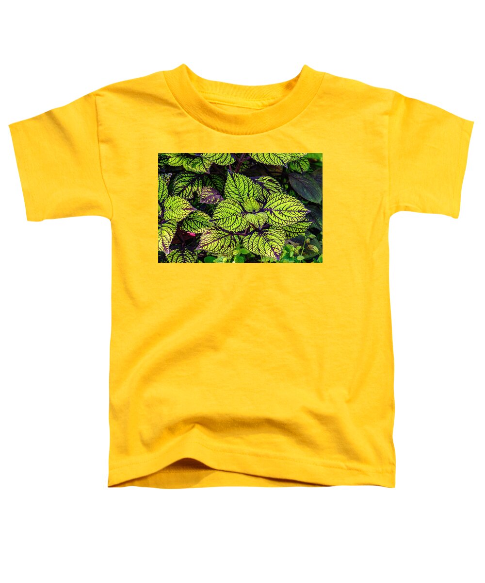 Coleus Toddler T-Shirt featuring the photograph Coleus by Bill Barber