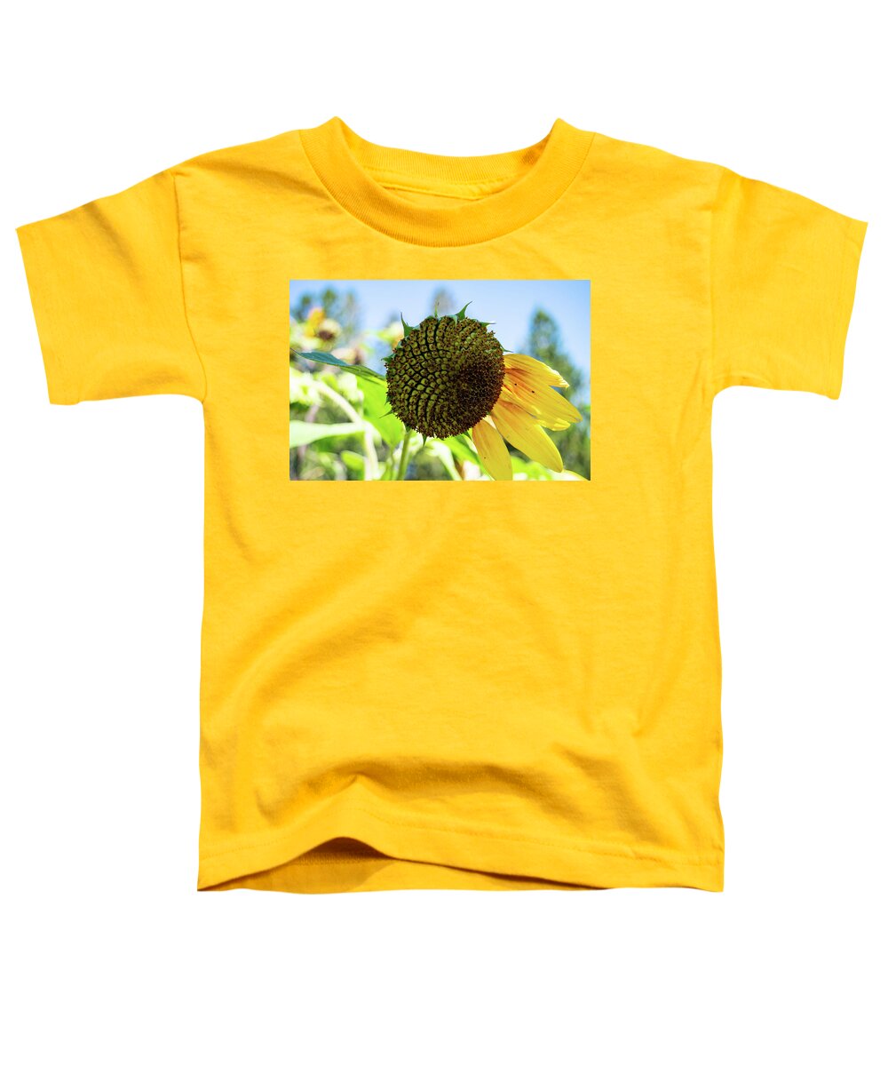 Five Sunflower Petals Toddler T-Shirt featuring the photograph Five Sunflower Petals by Tom Cochran