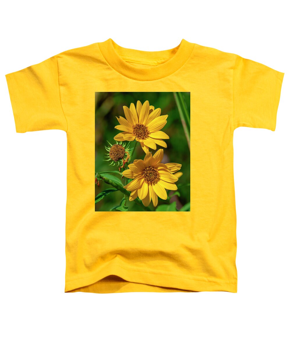 Aster Family Toddler T-Shirt featuring the photograph Giant Sunflowers DFL1224 by Gerry Gantt