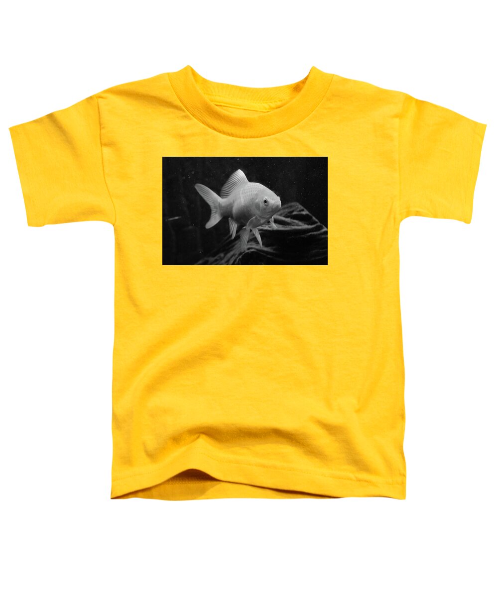 Goldfish Toddler T-Shirt featuring the photograph Gold in Mono by Neil R Finlay