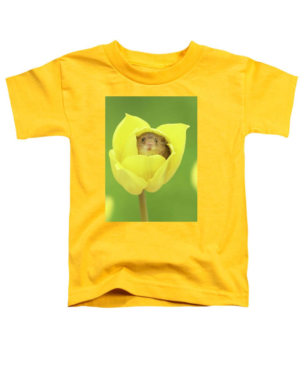 Harvest Toddler T-Shirt featuring the photograph HMtulips by Miles Herbert