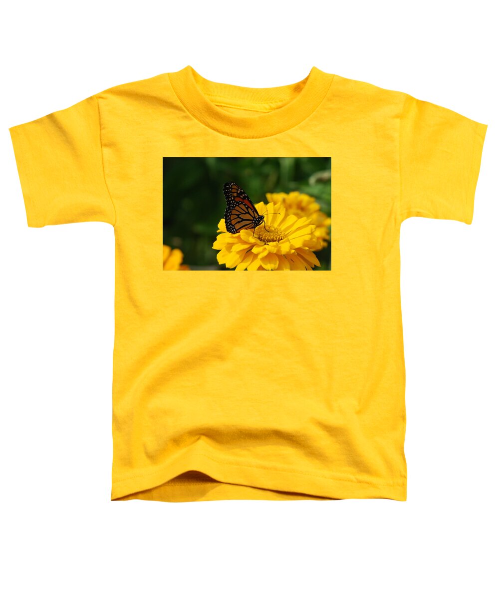 Yellow Marigolds Toddler T-Shirt featuring the photograph Monarch Butterfly And Marigolds by Ee Photography