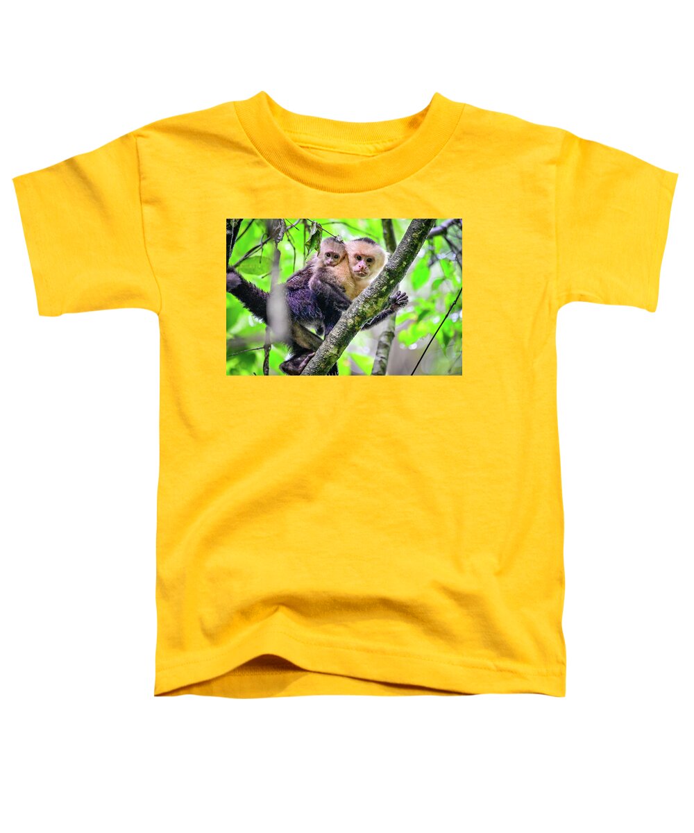 Capuchin Toddler T-Shirt featuring the photograph Mother and Baby Capuchin by Ed Stokes